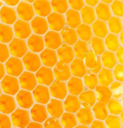 yellow honeycomb