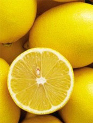 lemon citrus